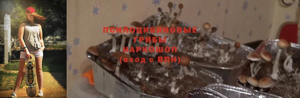 гидропоника Верея