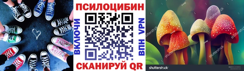 Псилоцибиновые грибы Psilocybine cubensis  где можно купить наркотик  Армавир 